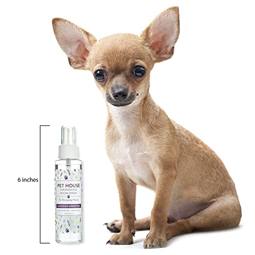 One Fur All Pet House Freshening Room Spray - Lavender Green Tea - Concentrated Air Freshener - Non-Toxic & Pet-Friendly Air Freshener - Pet Odor Eliminator Room Spray
