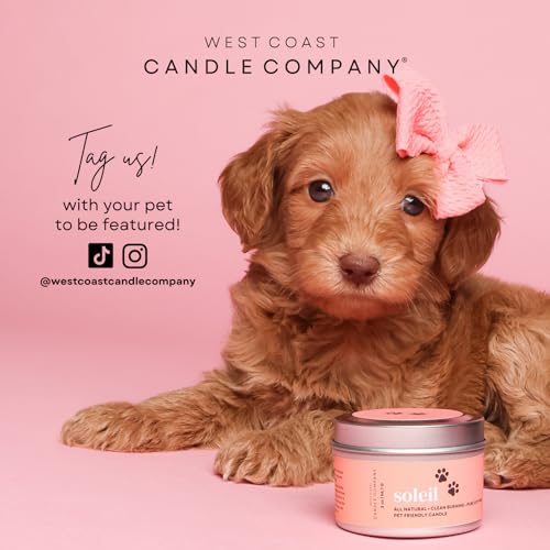 Pet Friendly Wax Melts | Pet Safe Wax Melts | All Natural Wax Melts | Non-Toxic Wax Melts | Pet Odor Eliminator | Pure Soy Wax Melts | Dog & Cat Safe Wax Melts | Veterinarian Approved (Alpine Ridge)