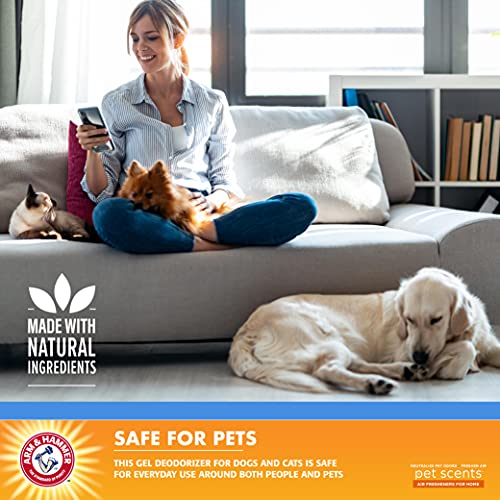 Arm & Hammer For Pets Scents Plug-in Scented Oil Refills in Fresh Breeze Scent, 2 Count (Pack of 1)| Air Freshener Refills, Room Deodorizer for Homes with Pets,