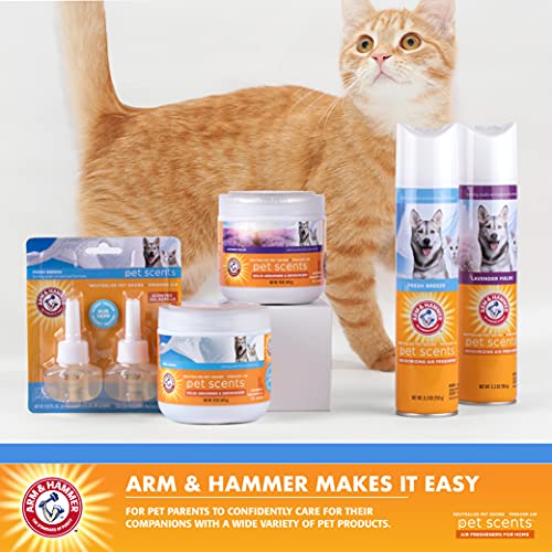 Arm & Hammer For Pets Scents Plug-in Scented Oil Refills in Fresh Breeze Scent, 2 Count (Pack of 1)| Air Freshener Refills, Room Deodorizer for Homes with Pets,