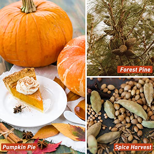 ESSLUX Autumn Scented Oils Gift Set