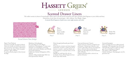 Hassett Green London Scented Drawer Liners - Hearts & Roses Fragrance - Single Pack of 6 Sheets Size 23.6 x 15.75 inches
