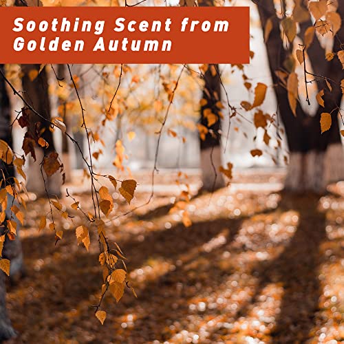 ESSLUX Autumn Scented Oils Gift Set