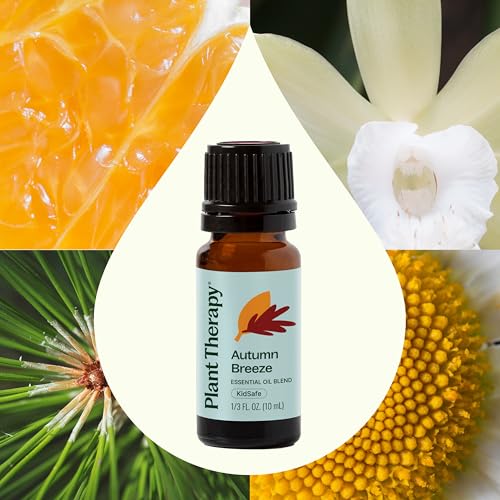 Autumn Breeze Essential Oil Blend - 10mL