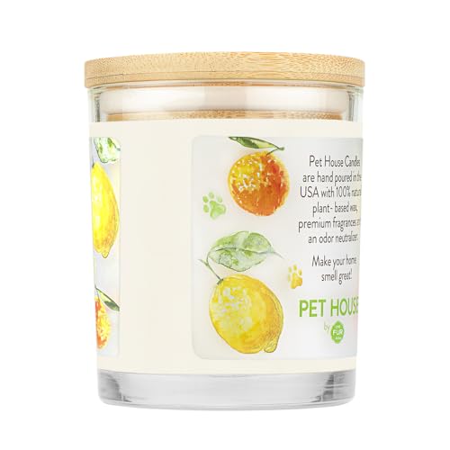 One Fur All Pet House Candle - Fresh Citrus - 100% Plant-Based Wax Candle - Pet Odor Eliminator for Home - Non-Toxic & Eco-Friendly Air Freshening Scented Candles