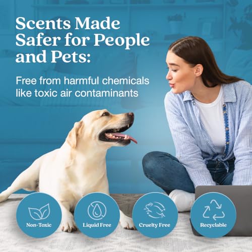 Enviroscent Non-Toxic Air Freshener for Home (Rainwater & Bamboo) Essential Oil Diffuser | Air Freshener + Room Freshener | Home Fragrance Last Over 30 Days | 1 Mango Wood Stand & 1 Scent Stix Refill
