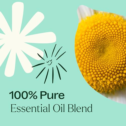 Autumn Breeze Essential Oil Blend - 10mL