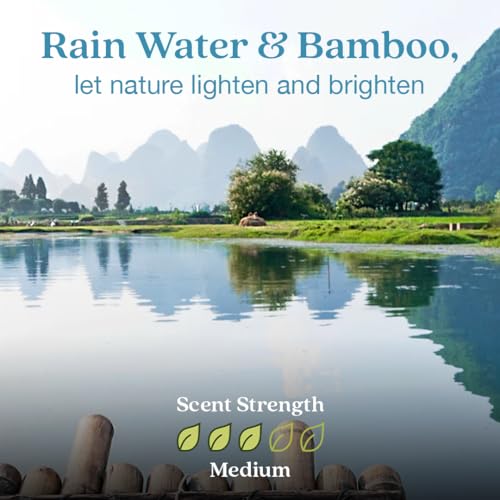 Enviroscent Non-Toxic Air Freshener for Home (Rainwater & Bamboo) Essential Oil Diffuser | Air Freshener + Room Freshener | Home Fragrance Last Over 30 Days | 1 Mango Wood Stand & 1 Scent Stix Refill