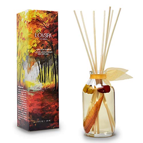 Autumn Comfort Pumpkin Reed Diffuser Set