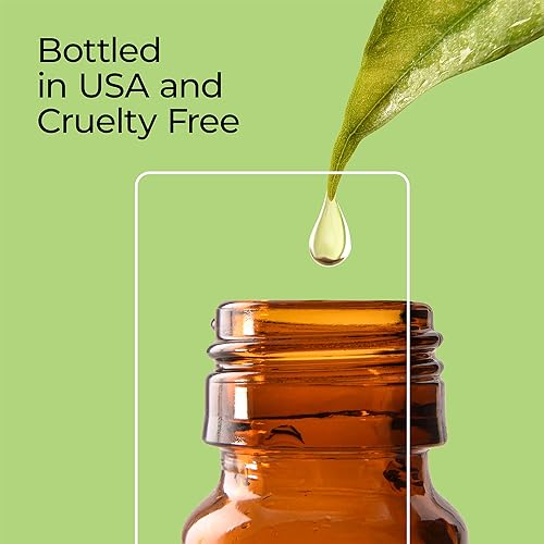 Autumn Wreath Fragrance Oil for Candles & Diffusers
