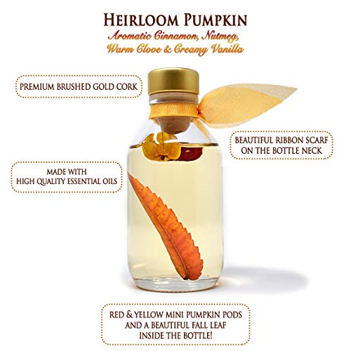 Autumn Comfort Pumpkin Reed Diffuser Set