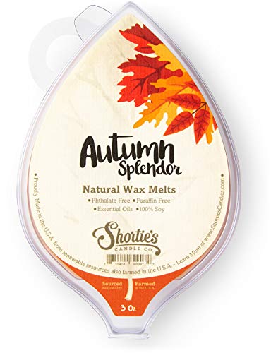 Autumn Splendor Soy Wax Melts - Highly Scented