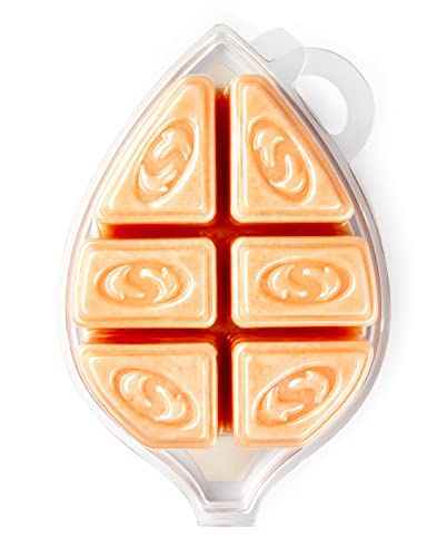 Autumn Splendor Soy Wax Melts - Highly Scented