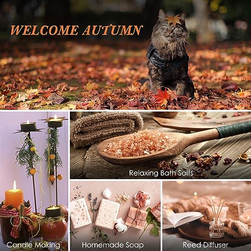 Autumn Essential Oils Set for Fragrance Lovers