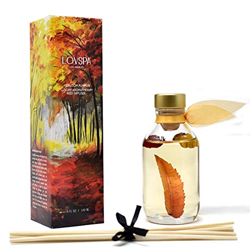 Autumn Comfort Pumpkin Reed Diffuser Set