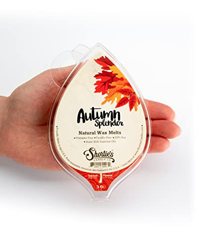 Autumn Splendor Soy Wax Melts - Highly Scented