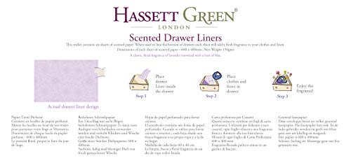 Hassett Green London Scented Drawer Liners - Lilac & Lavender Fragrance - Single Pack of 6 Sheets Size 23.6 x 15.75 inches
