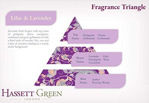 Hassett Green London Scented Drawer Liners - Lilac & Lavender Fragrance - Single Pack of 6 Sheets Size 23.6 x 15.75 inches