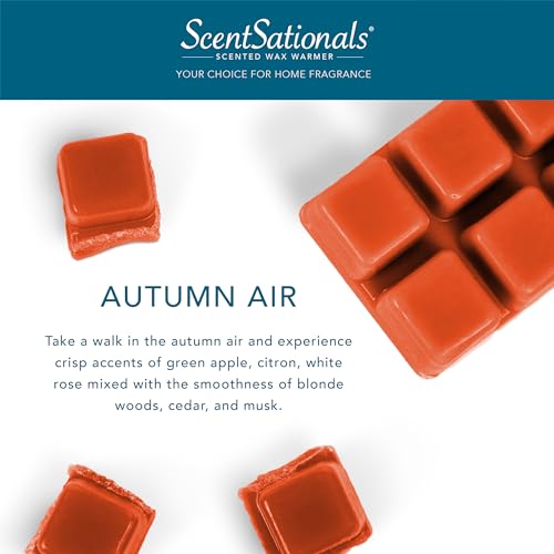 Autumn Air Scented Wax Melts - 4-Pack