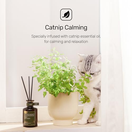 Furry Purr Reed Diffuser for Pet Odor Elimination, Lily of The Valley, Non-Toxic & Eco-Friendly Air Freshening, 6 Oz, Animal Lover Gift