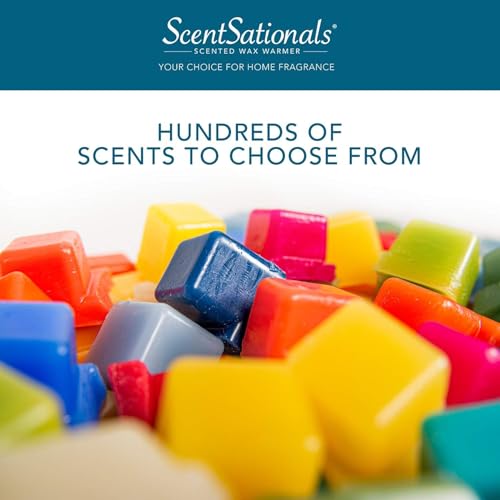 Autumn Air Scented Wax Melts - 4-Pack