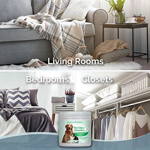 SMELLS BEGONE Pet Odor Absorber Gel - Air Freshener - Absorbs Odor from Bathrooms, Cars, Pet Areas, Boats & RVs - Made with Essential Oils - Calming Rain Scent - 15 Ounce