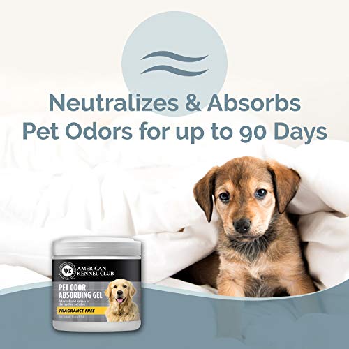 SMELLS BEGONE Pet Odor Absorber Gel - Air Freshener & Odor Eliminator - Formulated for The Toughest Pet Odors - Fragrance Free - 15 Ounce - 2 Pack