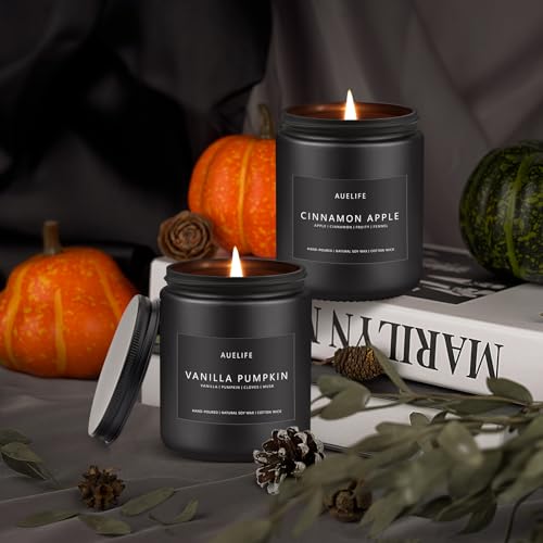 Cinnamon Apple Fall Scented Candle 7 OZ