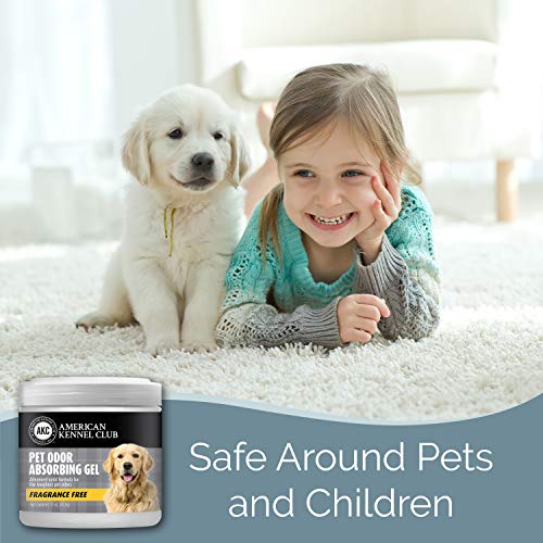 SMELLS BEGONE Pet Odor Absorber Gel - Air Freshener & Odor Eliminator - Formulated for The Toughest Pet Odors - Fragrance Free - 15 Ounce - 2 Pack