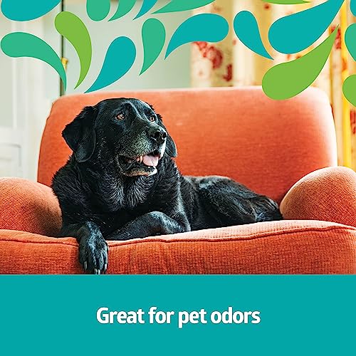 Medline Naturally Fresh Odor Eliminator Gel Beads, Neutral Scent with Eucalyptus & Clove, Air Freshener for Home, 8 oz. Jar, Pack of 12