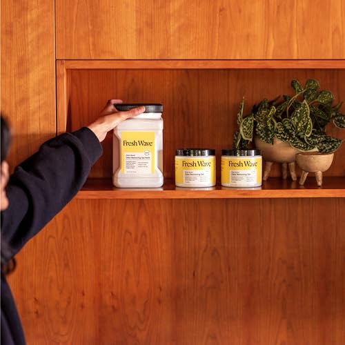 Fresh Wave Lemon Odor Removing Gel Refill, 63 oz. - Safer Odor Absorbers for Home, Natural Plant-Based Odor Eliminator, Every 15 oz. lasts 30-60 Days, For Cooking, Trash & Pets