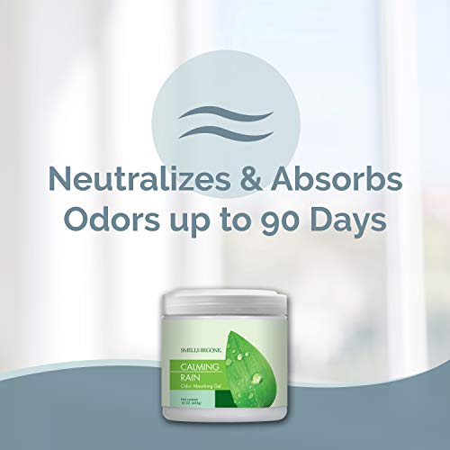 SMELLS BEGONE Air Freshener Odor Absorber Gel - Absorbs Odor from Bathrooms, Cars, Pet Areas, Boats & RVs - Made with Essential Oils - Calming Rain Scent