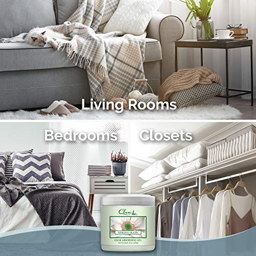 Clear Air Odor Absorber Gel - 15 oz, Pack of 2 - Air Freshener Absorbs and Eliminates Odors in Bathrooms, Cars, Boats, RVs and Pet Areas - Made with Essential Oils - Spring Rain Scent