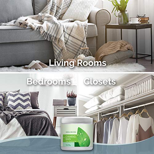 SMELLS BEGONE Air Freshener Odor Absorber Gel - Absorbs Odor from Bathrooms, Cars, Pet Areas, Boats & RVs - Made with Essential Oils - Calming Rain Scent