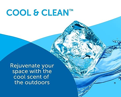 Bright Air 14 oz. Super Odor Eliminator, For Medium-Size Spaces, Cool & Clean Scent, Case of 6,Air Freshener, Natural Essential Oils, Lasts Up to 90 Days Each