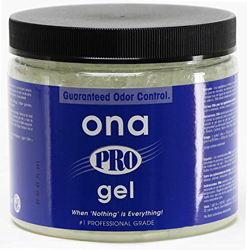 Ona Products ON10061 Ona Gel Pro 25.8 OZ Odor Neutralizer, 1.61 Pound (Pack of 1), natural