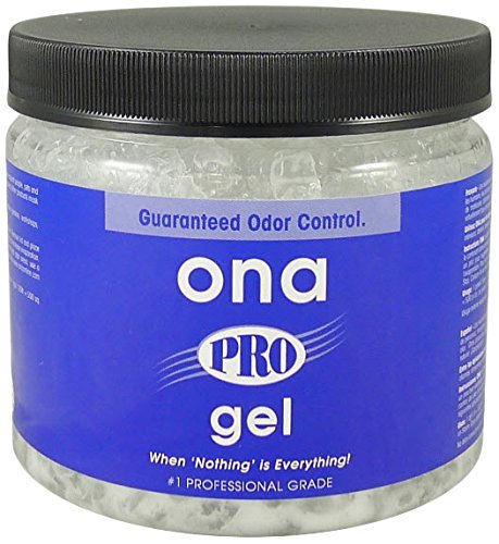 Ona Products ON10061 Ona Gel Pro 25.8 OZ Odor Neutralizer, 1.61 Pound (Pack of 1), natural