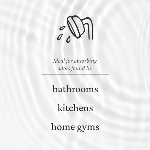 Fresh Wave Odor Removing Gel, 15 oz., Pack of 2 - Odor Absorbers for Home, Safer Odor Relief, Natural Plant-Based Odor Eliminator, Every 15 oz. lasts 30-60 Days, For Cooking, Trash & Pets