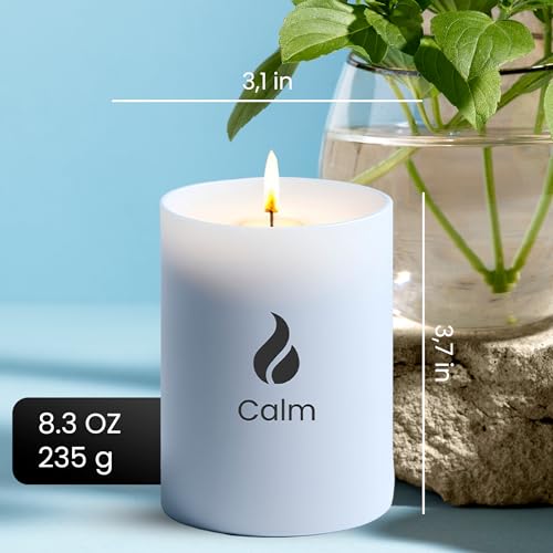 Natur IX Calming Scented Candles for Home | Lavender, Basil & Jasmine Candle | Natural Non Toxic Soy Candles with Essential Oils | 50 H Long Burning | Aromatherapy Candle Jar with Lid - 8.3oz
