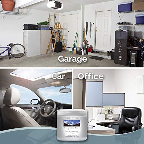 SMELLS BEGONE Air Freshener Odor Absorber Gel - 15 oz, Pack of 2 - Absorbs and Eliminates Odor in Pet Areas, Bathrooms, Cars, & Boats - Made with Essential Oils - Fragrance Free