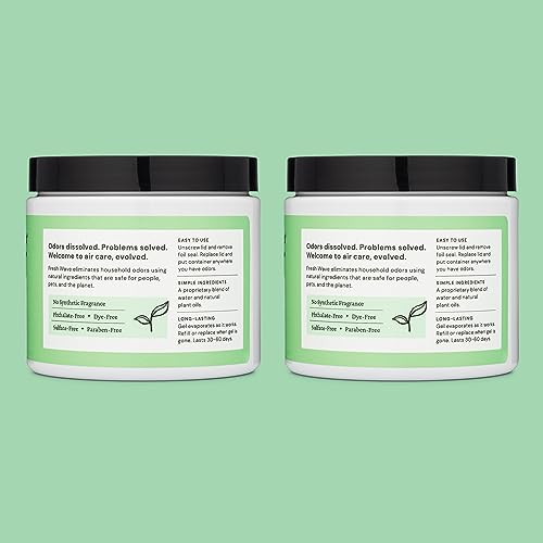 Fresh Wave Odor Removing Gel, 15 oz., Pack of 2 - Odor Absorbers for Home, Safer Odor Relief, Natural Plant-Based Odor Eliminator, Every 15 oz. lasts 30-60 Days, For Cooking, Trash & Pets