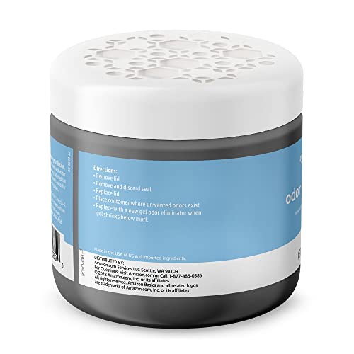Amazon Basics Gel Odor Eliminator, Charcoal, 1.06 Pound (Pack of 1)