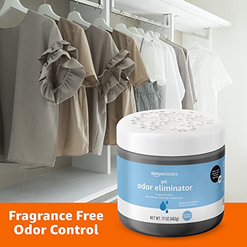 Amazon Basics Gel Odor Eliminator, Charcoal, 1.06 Pound (Pack of 1)