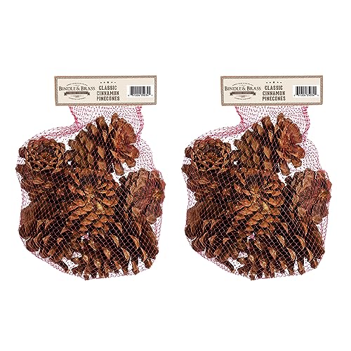Cinnamon Scented Pinecone Bag (2-Pack)