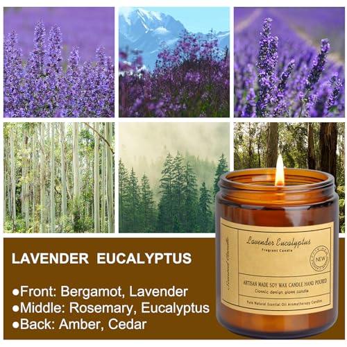 CIS Aromatherapy Candles, 7OZ Lavender Eucalyptus Candles, Scented Candles, Soy Wax Candle, Stress Relief and Relax for Gift Mother's Day Gift, Teal