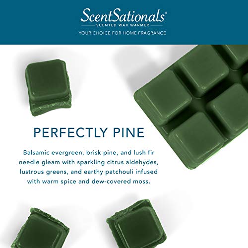 Scentsationals Wax Melts, Wax Cubes Strong Scent - Perfectly Pine - Long Lasting Scented Wax Melts for Warmer, 5 oz (12 Cubes Value Pack)
