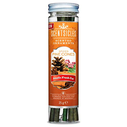 Scentsicles - 01647-012 Scented Christmas Ornaments for Christmas Tree, All Natural Holiday Air Freshener (Spiced Pine Cones Holiday Fragrance) Includes 6 Ornaments & Hooks