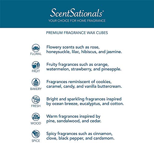 Scentsationals Wax Melts, Wax Cubes Strong Scent - Perfectly Pine - Long Lasting Scented Wax Melts for Warmer, 5 oz (12 Cubes Value Pack)