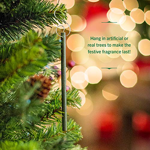 Scentsicles - 01647-012 Scented Christmas Ornaments for Christmas Tree, All Natural Holiday Air Freshener (Spiced Pine Cones Holiday Fragrance) Includes 6 Ornaments & Hooks