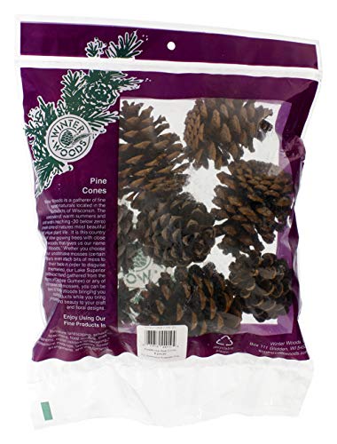 Winter Woods 44019 Ponderosa Pine Cones 8/Pkg-Natural